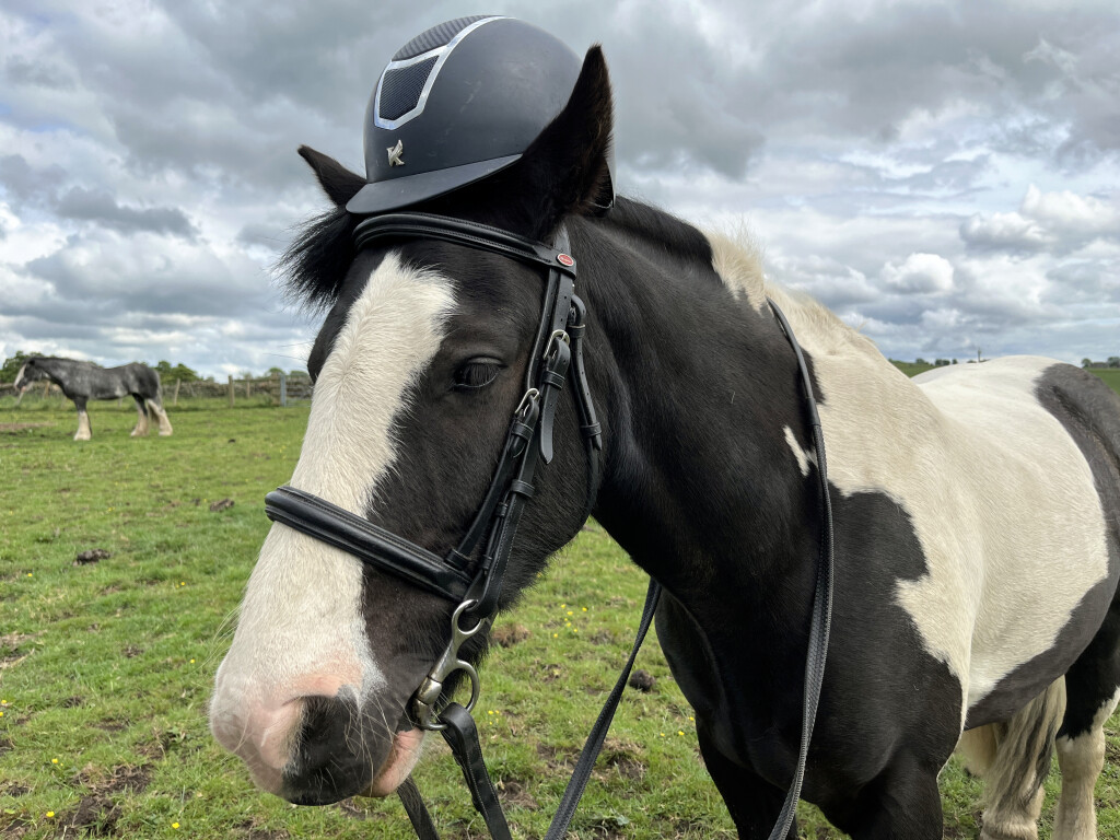 Max Wearing Riding Hat
